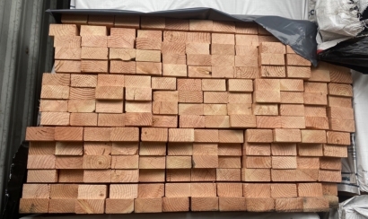 Douglas-Fir.jpg