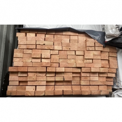 Douglas-Fir.jpg